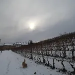 Fontanazza Osteria Con Herberg La Morra