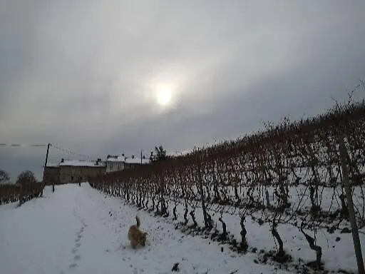 Fontanazza Osteria Con Inn La Morra