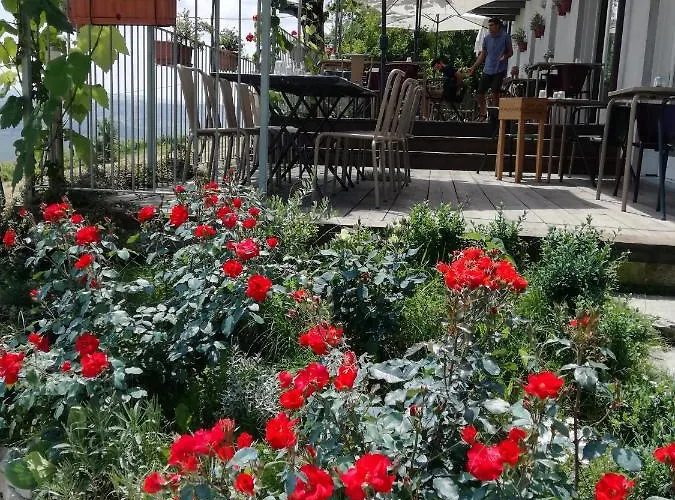 Fontanazza Osteria Con La Morra